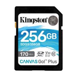 Memoria SD Kingston 256 GB Canvas Go Plus